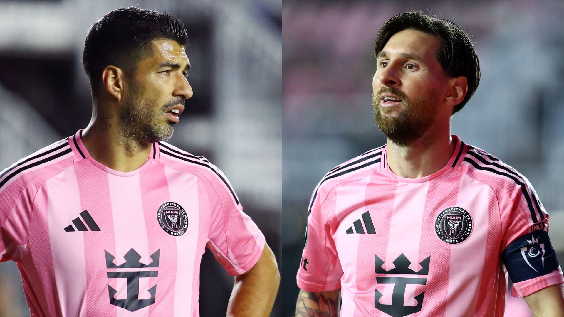 在球场上的 在球场上的