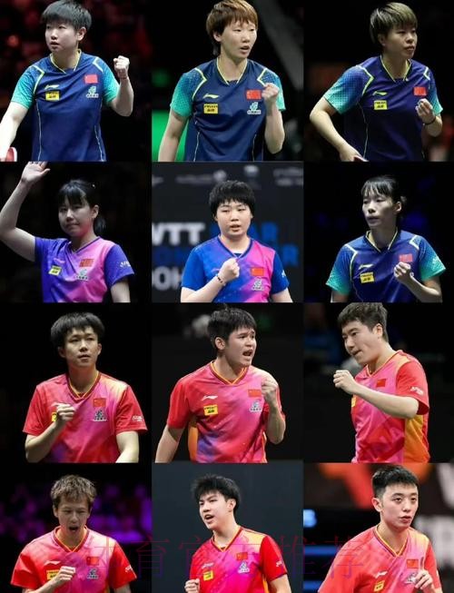 亚洲杯国乒阵容公布 亚洲杯国乒阵容公布